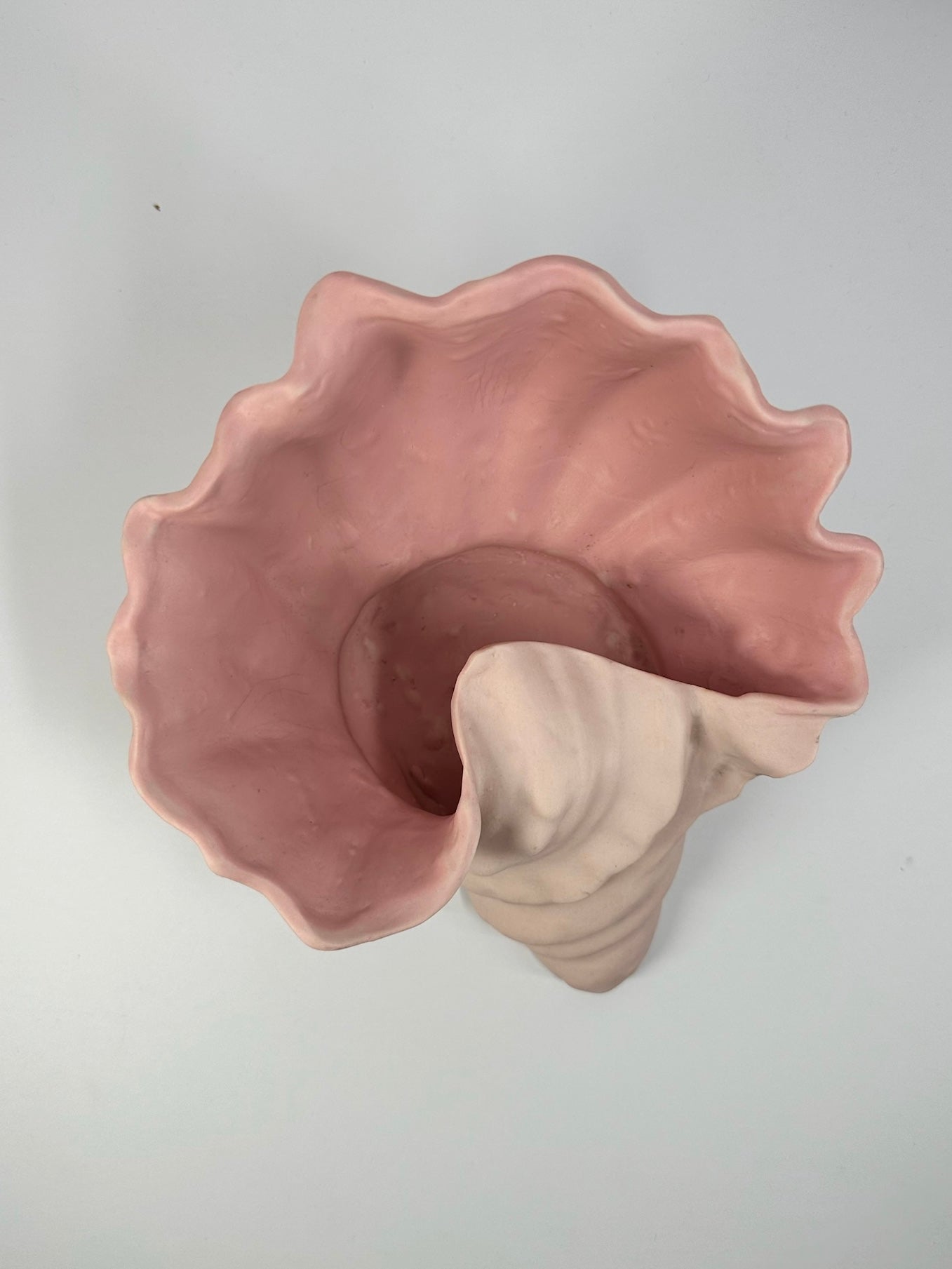 Ceramic Pink Conch Shell Jewelry Bowl